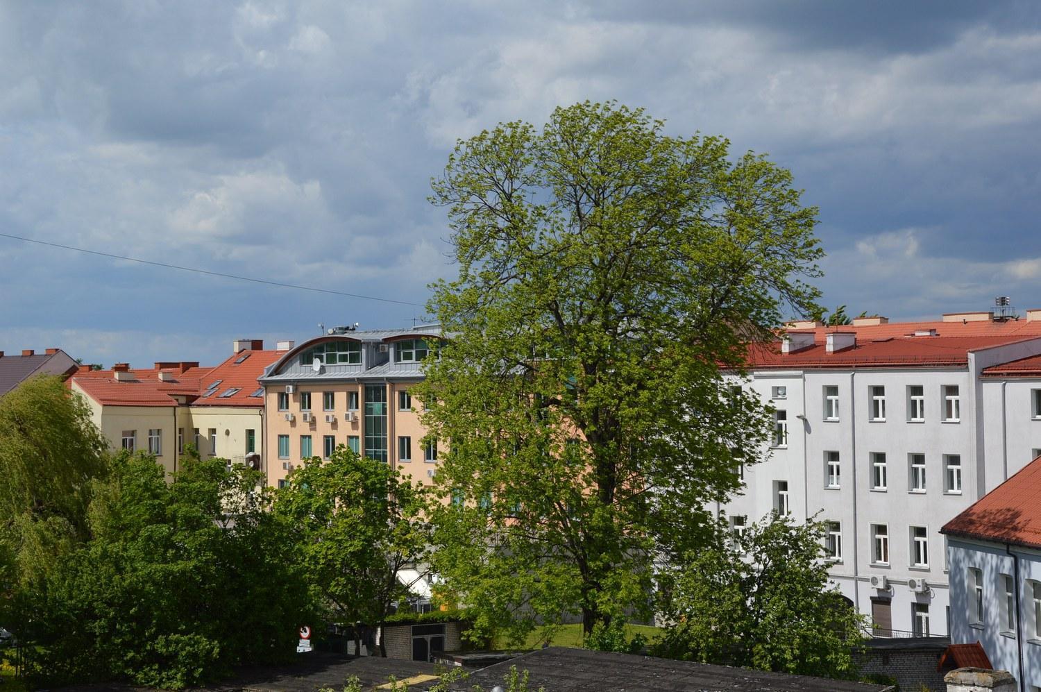 Goscinne Centrum Kultury Prawoslawnej *